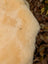 Cream-colored plush faux fur blanket with soft texture in a washable medical sheepskin naturally spotted design
