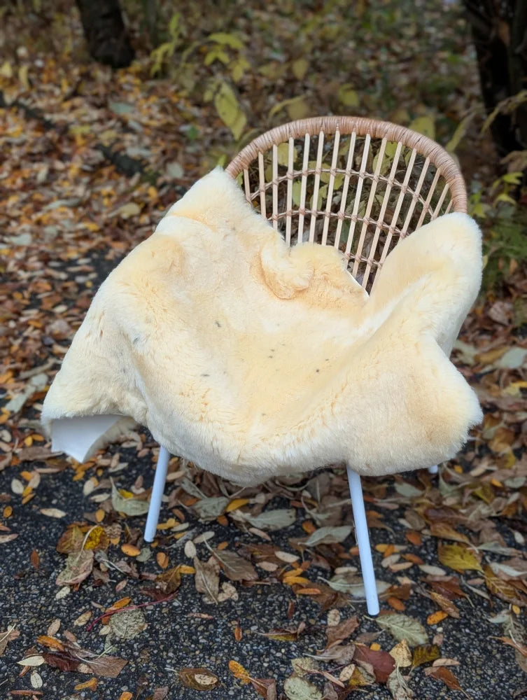 Cream-colored naturally spotted medical sheepskin throw draped over wicker chair with white metal legs washable and soft