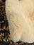 Cream-colored plush faux fur coat with soft fluffy texture made from washable naturally spotted medical sheepskin