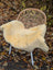 Cream-colored naturally spotted medical sheepskin rug draped over woven rattan chair with white legs washable medical sheepskins