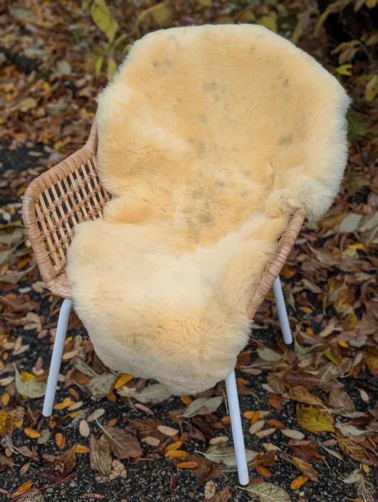 Cream-colored washable medical sheepskin naturally spotted draped over a wicker chair with white legs
