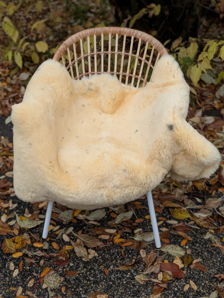 Cream-colored naturally spotted medical sheepskin blanket draped over wicker chair washable 50 x 33 inches