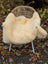 Cream-colored naturally spotted medical sheepskin blanket draped over wicker chair washable 50 x 33 inches