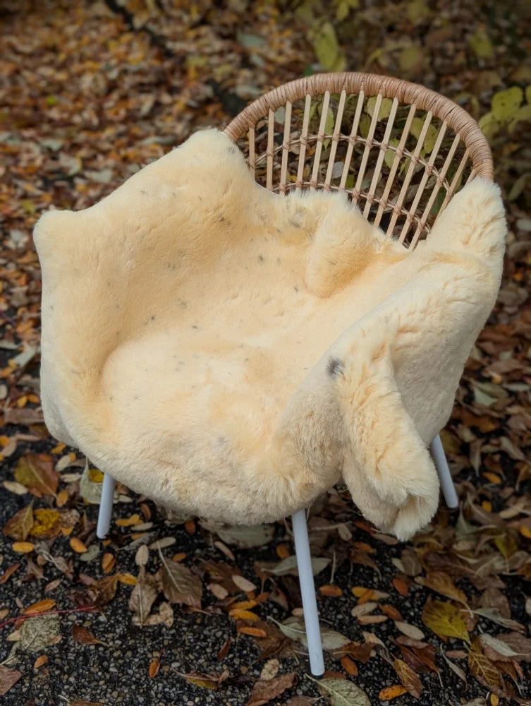 Cream-colored naturally spotted medical sheepskin throw draped over wicker chair washable 50 x 33 inches