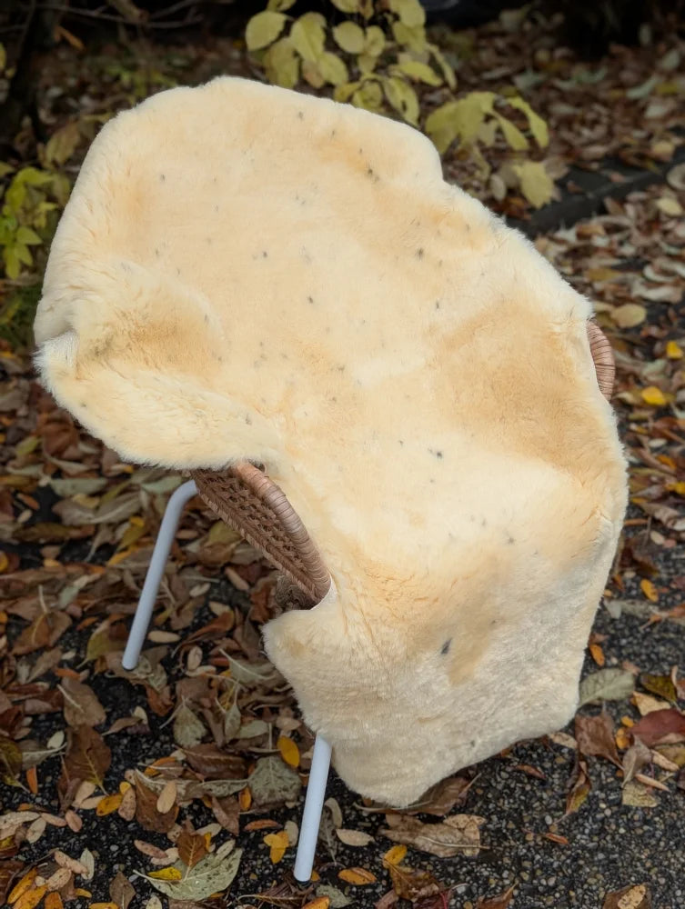 Cream-colored medical sheepskin chair cover with soft fluffy texture and naturally spotted dark speckles washable design