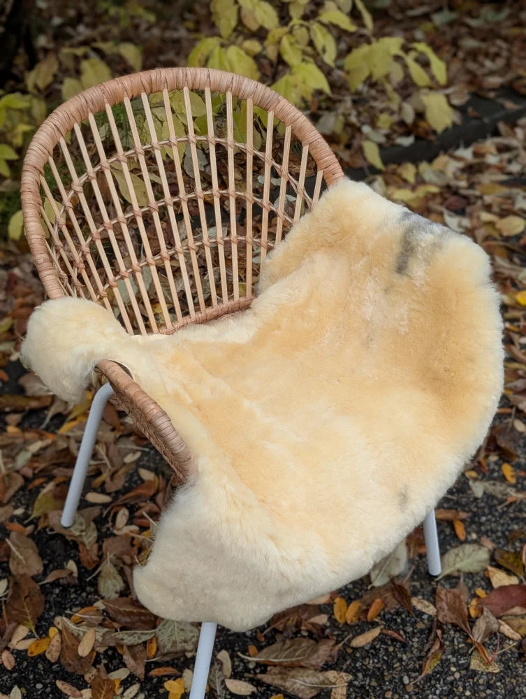 Cream-colored washable medical sheepskin chair cover draped over wicker chair by angus oliver