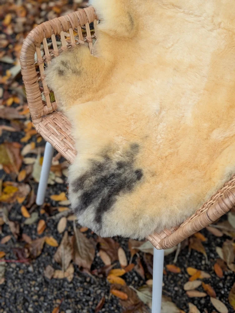 Cream-colored washable medical sheepskin rug with soft fur and dark gray patch on woven wicker chair by angus oliver