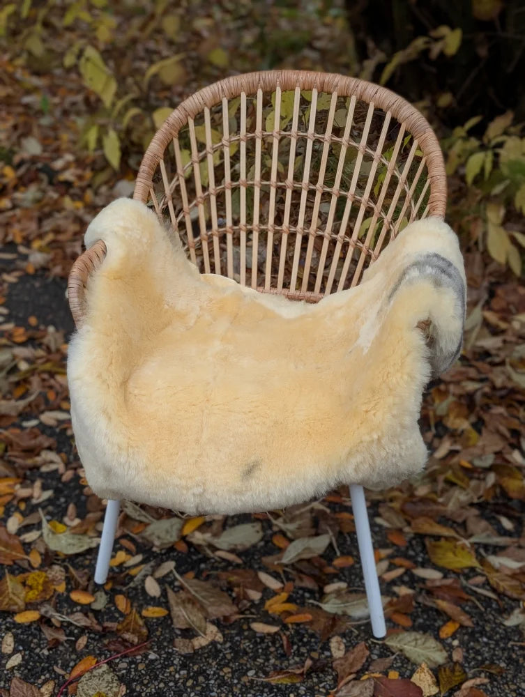 A cozy cream medical sheepskin throw by angus oliver draped over a wicker chair with white metal legs