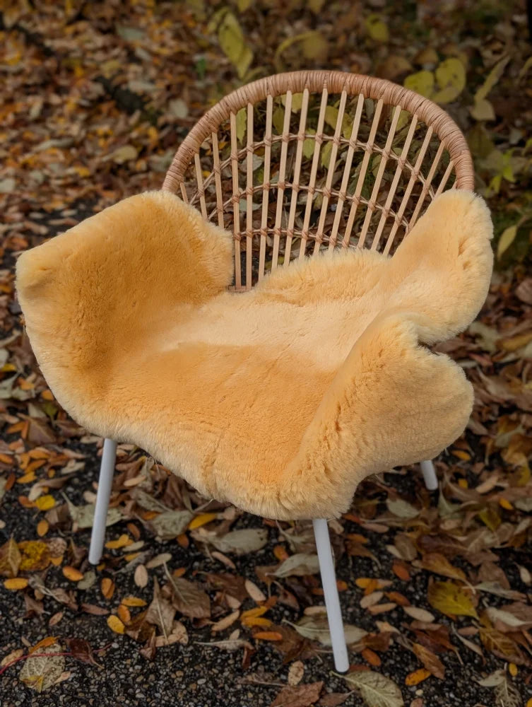Warm honey-colored medical sheepskin cover draped over a woven rattan chair with white legs by angus oliver