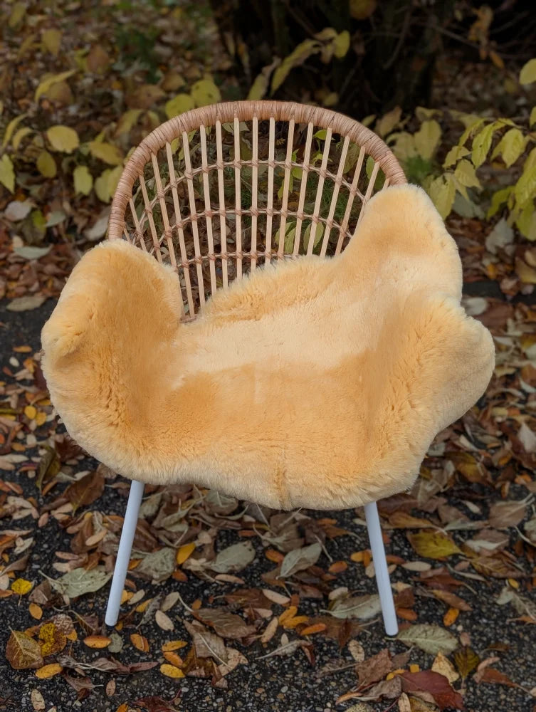 A cozy light tan washable medical sheepskin cover draped over a woven wicker chair with white metal legs by angus oliver