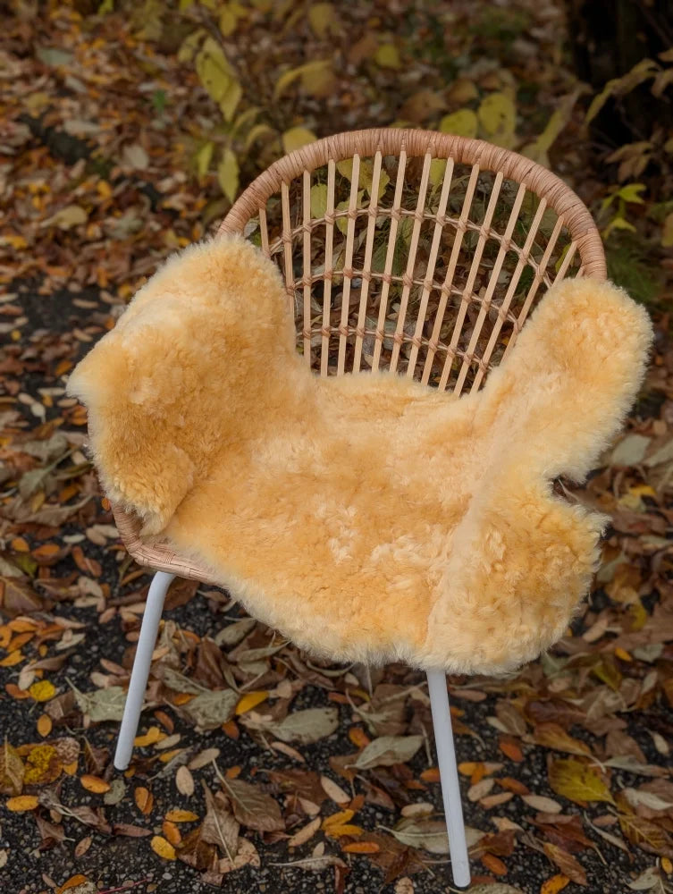 Warm golden medical sheepskin cover draped over woven wicker chair by angus oliver washable medium size