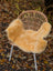 Warm golden medical sheepskin cover draped over woven wicker chair by angus oliver washable medium size
