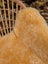 A plush golden brown washable medical sheepskin throw draped over a woven wicker chair by angus oliver