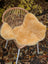 Warm golden medical sheepskin chair cover draped over woven wicker chair angus oliver washable med45 39 x 20