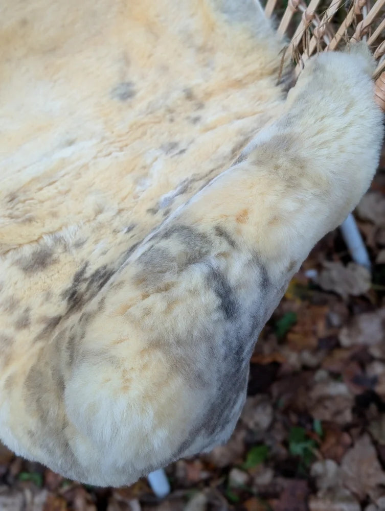 A cream-colored naturally spotted medical sheepskin rug with gray and beige fur draped over a woven chair