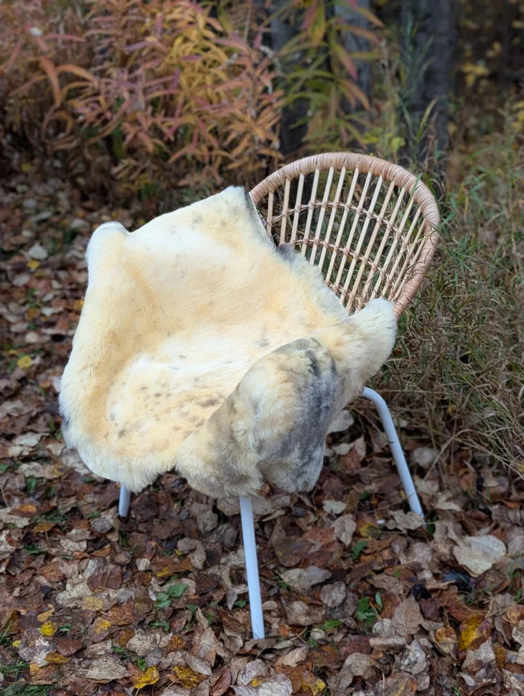 A soft naturally spotted medical sheepskin rug draped over a woven wicker chair in natural tones