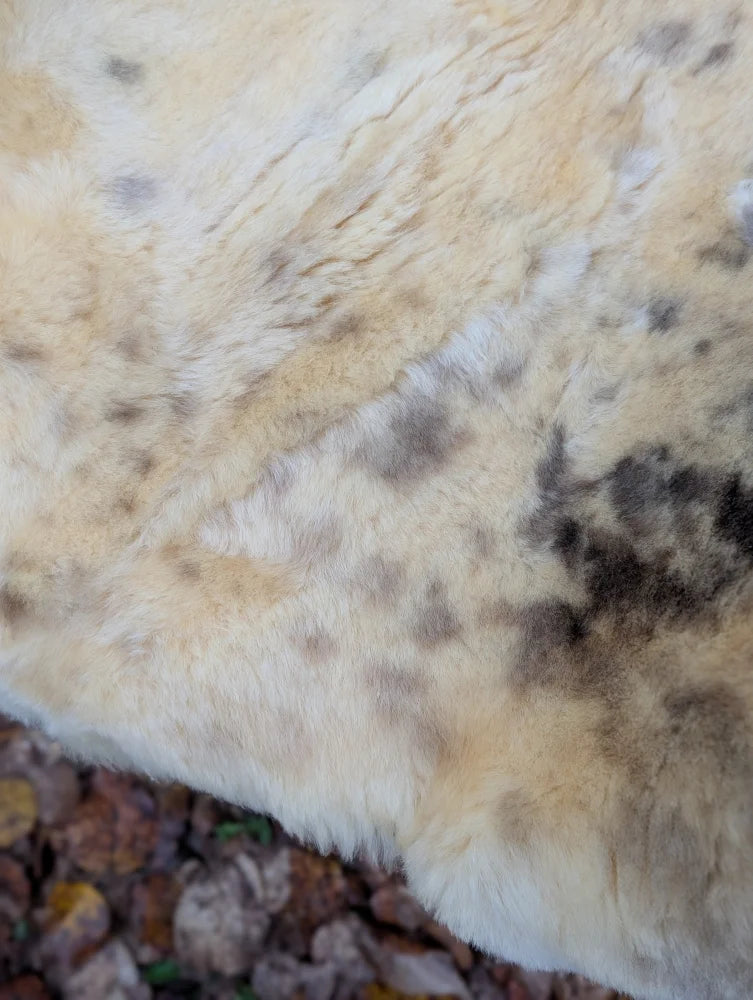 A soft cream-colored washable medical sheepskin rug with naturally spotted light brown and dark gray patterns