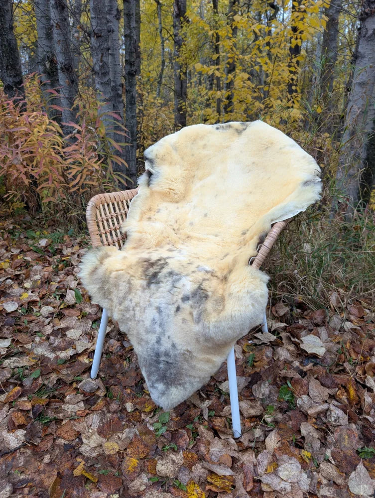 Cream-colored washable medical sheepskin rug with natural fur texture and subtle grayish patches draped over wicker chair