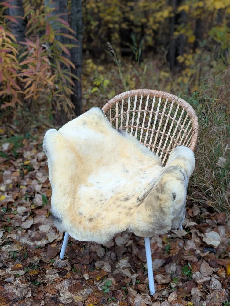 A naturally spotted cream medical sheepskin rug with brown and black speckles draped over a wicker chair