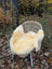 Cream-colored washable medical sheepskin naturally spotted draped over a wicker chair for comfort and support