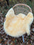 Cream-colored naturally spotted medical sheepskin rug draped over wicker chair washable medical sheepskins