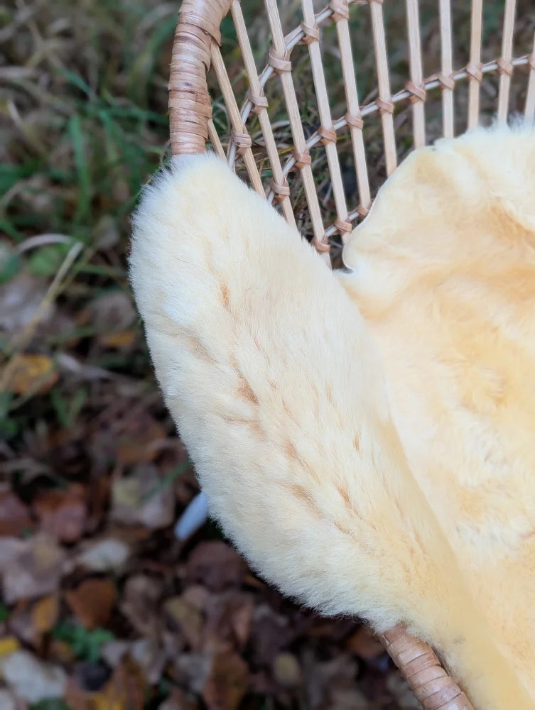 Soft creamy yellow faux fur ear with subtle brown streaks on naturally spotted medical sheepskin med7 product