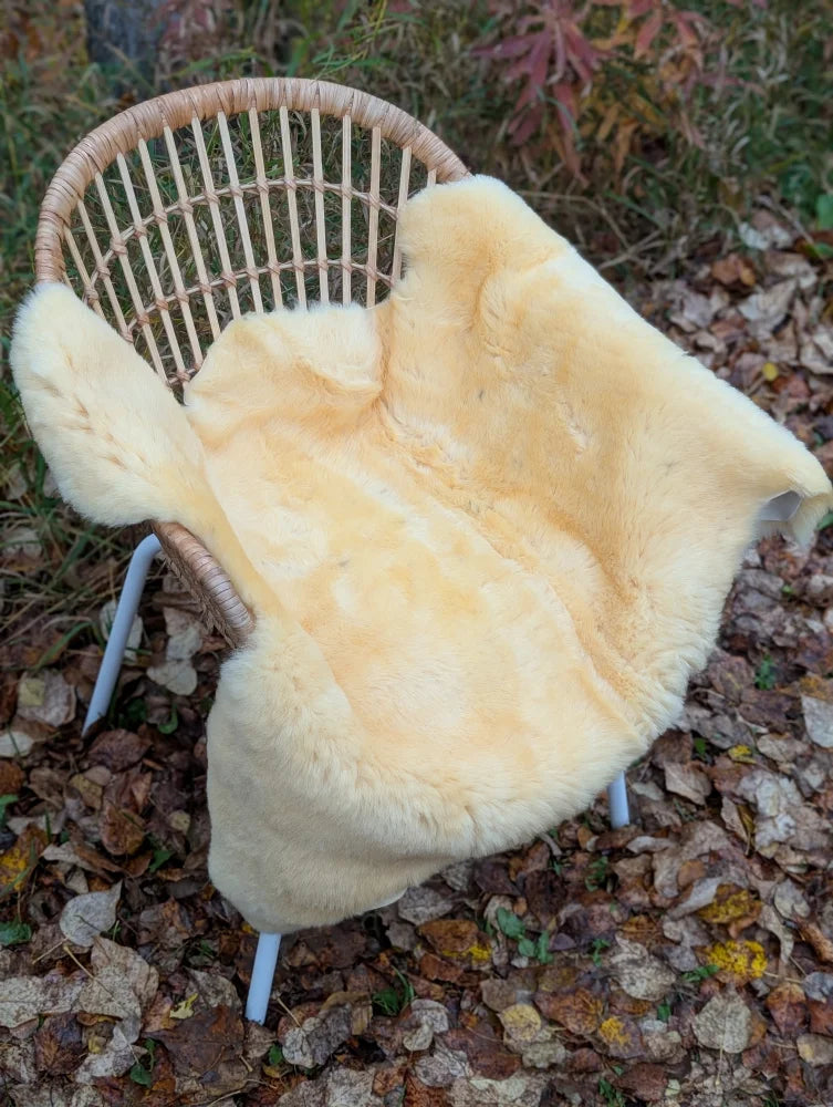 Cream-colored naturally spotted medical sheepskin throw draped over wicker chair washable medical sheepskins