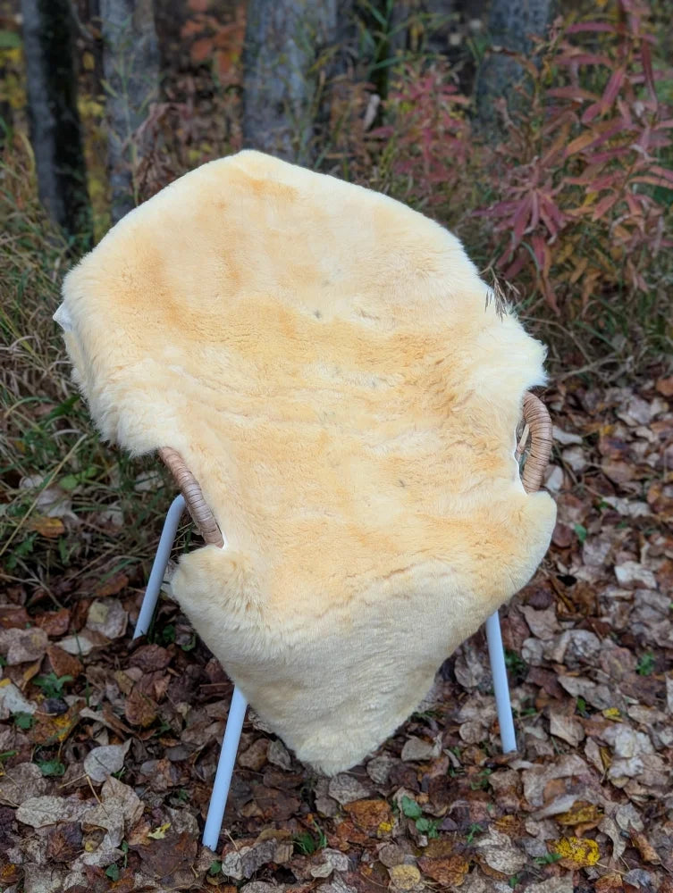 Cream-colored medical sheepskin naturally spotted draped over chair with light blue metal legs and woven wooden armrests