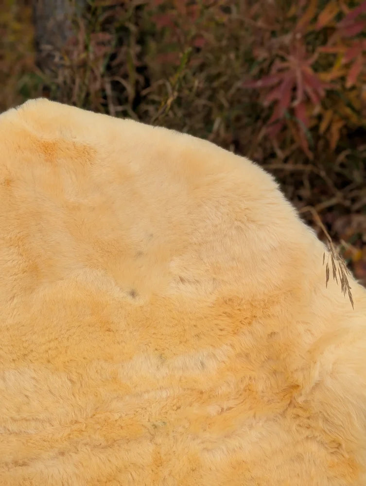 A plush light golden-yellow washable medical sheepskin blanket with a soft fluffy texture naturally spotted