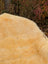 A plush light golden-yellow washable medical sheepskin blanket with a soft fluffy texture naturally spotted
