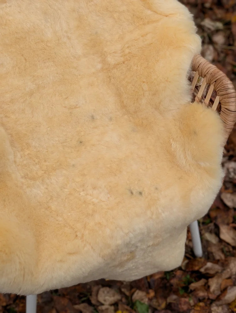 Cream-colored medical sheepskin chair cover naturally spotted draped over a woven wicker armchair washable and soft