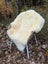Cream-colored naturally spotted medical sheepskin rug draped over wicker chair with white metal legs for medical use