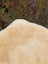 Cream-colored plush medical sheepskin with a naturally spotted soft textured surface in 48.5 by 35 inches size