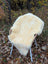 Cream-colored naturally spotted medical sheepskin draped over wicker chair with white metal legs washable and cozy