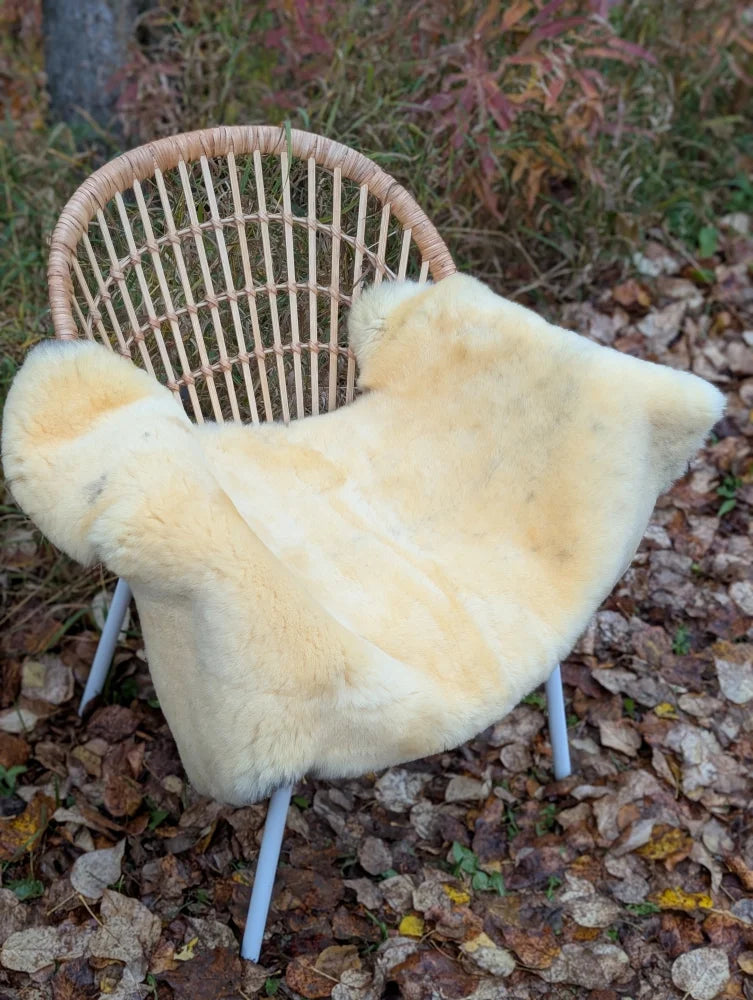 Cream-colored naturally spotted medical sheepskin throw draped over wicker chair with light blue metal legs