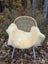 Cream-colored naturally spotted medical sheepskin throw draped over wicker chair with light blue metal legs
