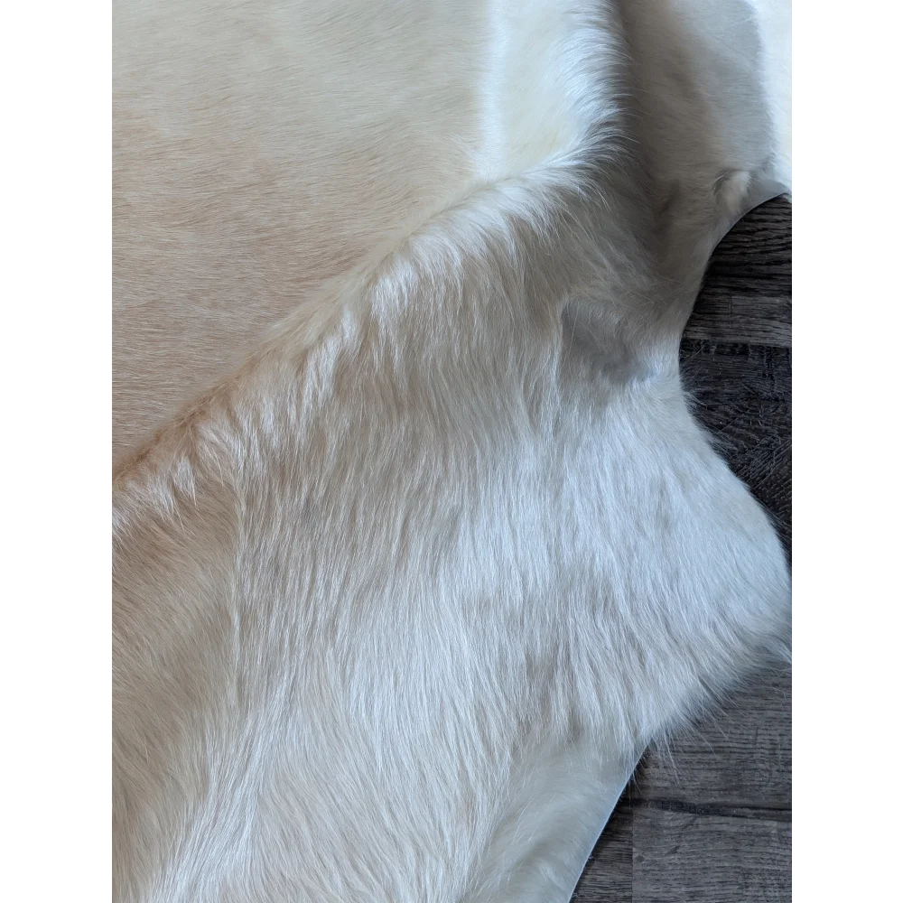 A beautiful large cowhide rug by angus oliver in cream with very soft fluffy texture and natural tone variations