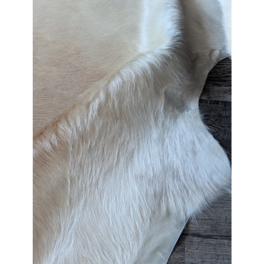 A beautiful large cowhide rug by angus oliver in cream with very soft fluffy texture and natural tone variations