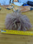 10-inch yellow Stanley tape measure with medium pink sheepskin pom pom