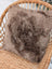 A medium taupe merino sheepskin cushion with soft fluffy texture and cotton backs on a woven wicker chair