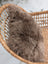 A plush medium taupe merino sheepskin cushion cover with soft texture and cotton backs on a wicker chair