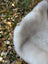 A fluffy white cat ear detail on a soft british isles sheepskin rug mel1 46 x 28 inches