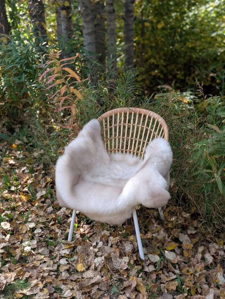 A cozy beige british isles sheepskin throw draped over a woven wicker chair with white metal legs