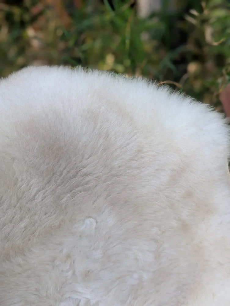 Close-up of fluffy white soft dense fur on a 46 x 28 inch british isles sheepskin for cozy comfort