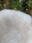 Close-up of fluffy white soft dense fur on a 46 x 28 inch british isles sheepskin for cozy comfort