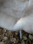 A plush off-white faux fur coat made from british isles sheepskin with a soft textured surface perfect for cozy wear