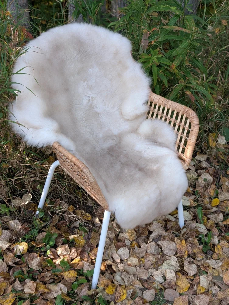 A plush off-white british isles sheepskin rug draped over a wicker chair with white metal legs
