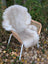 A plush off-white british isles sheepskin rug draped over a wicker chair with white metal legs