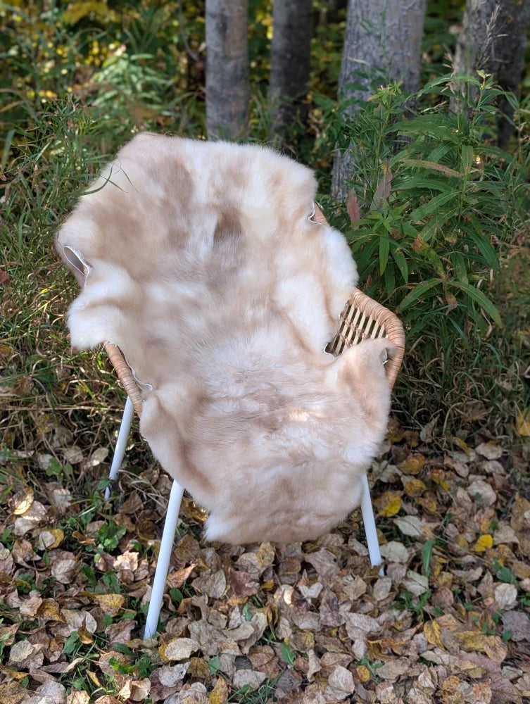 A soft cream-colored british isles sheepskin rug draped over a wicker chair with white metal legs