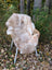 A soft cream-colored british isles sheepskin rug draped over a wicker chair with white metal legs